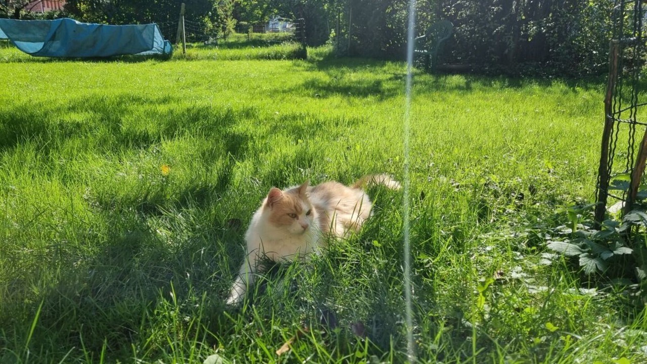 Photo of Outdoor in Uebersee