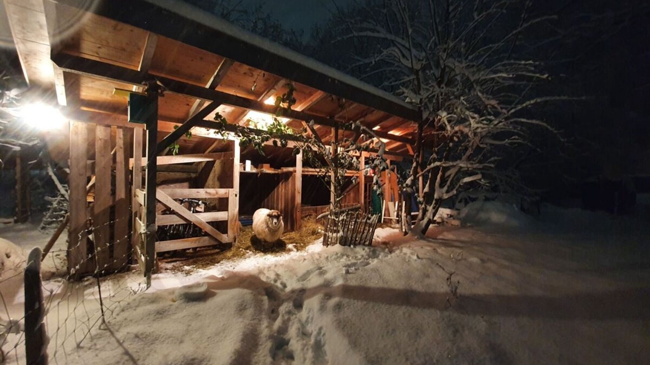 Photo of Outdoor in Uebersee