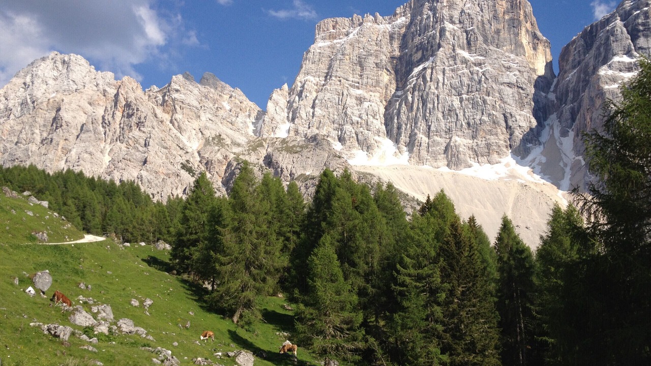 Photo of Others in Rocca Pietore