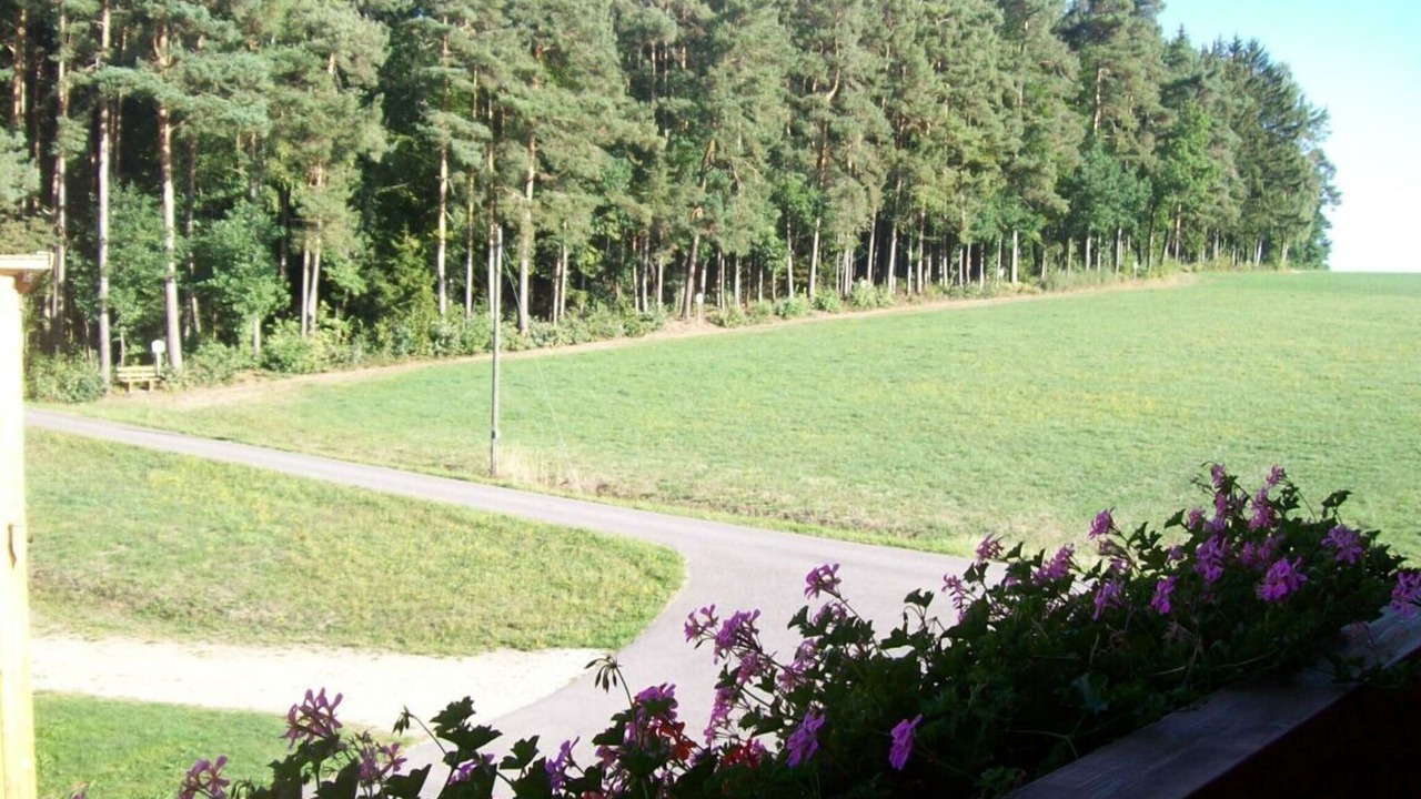 Photo of Others in Neukirchen Beim Heiligen Blut