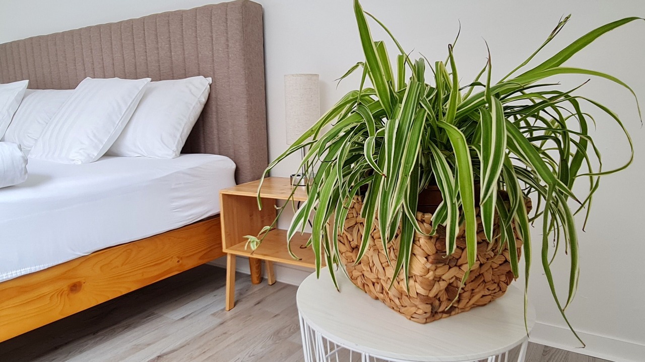 Photo of Bedroom in Manching
