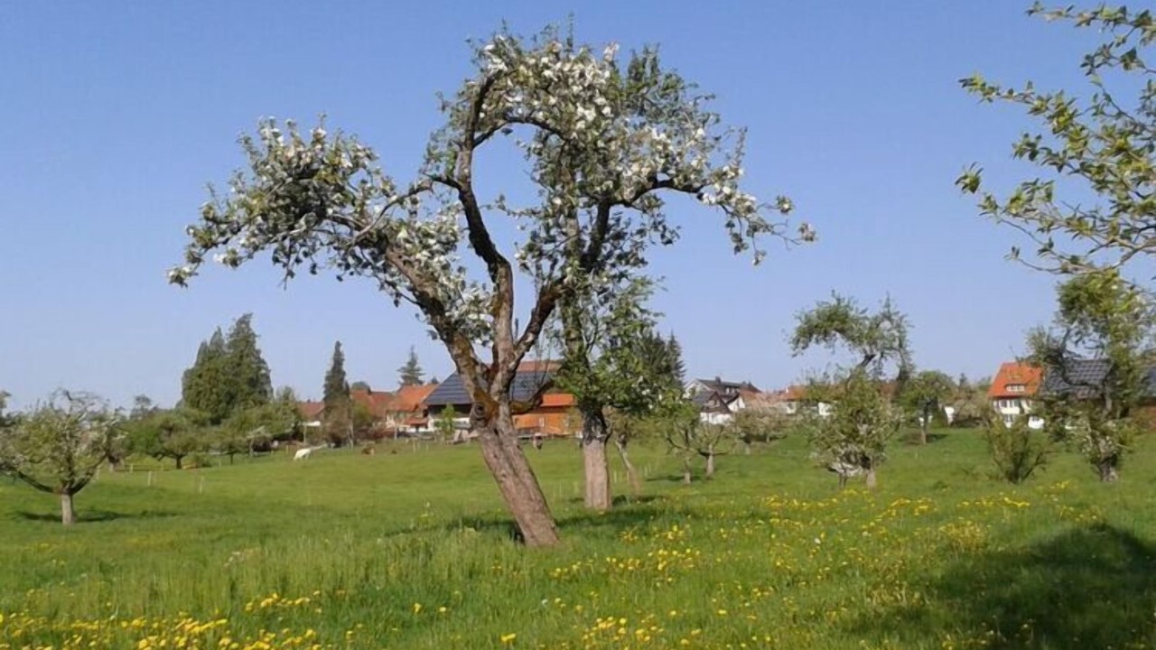 Photo of Others in Hergensweiler