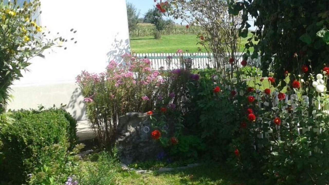 Photo of Outdoor in Hergensweiler