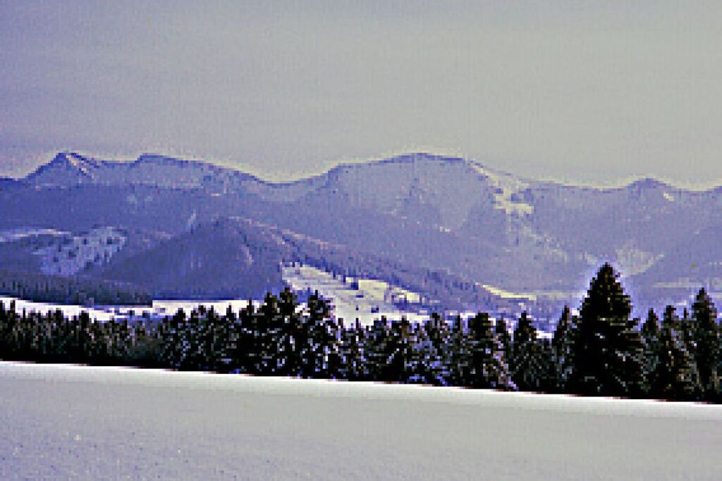 Photo of Others in Stiefenhofen