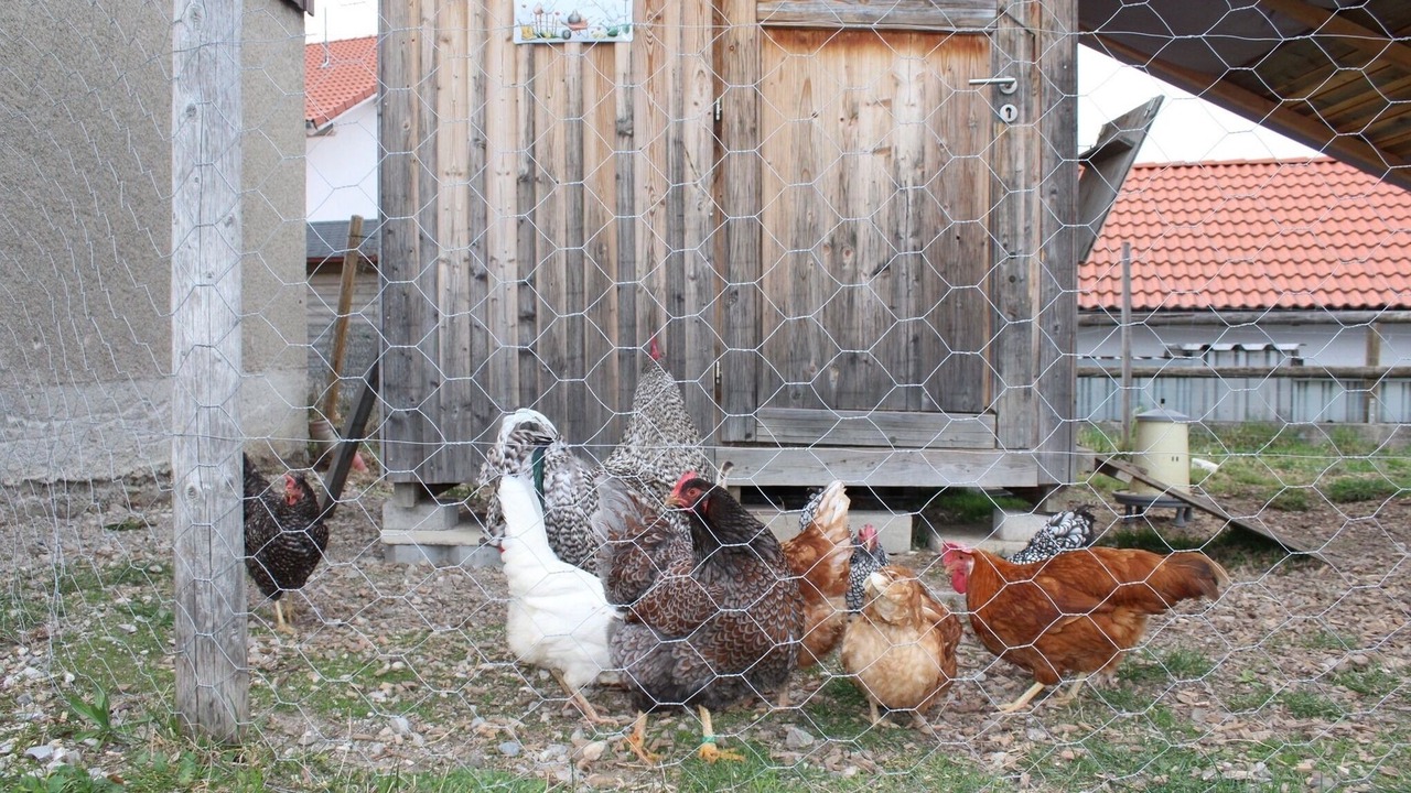 Photo of Outdoor in Wessobrunn