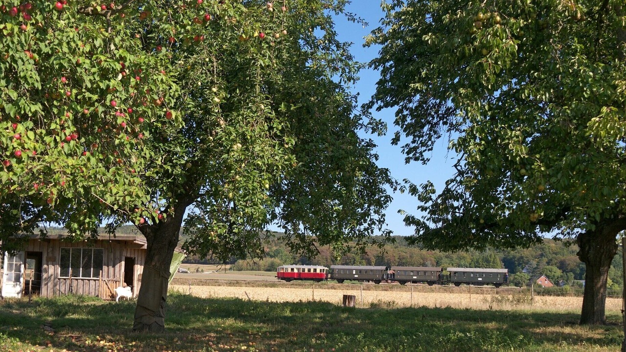 Photo of Outdoor in Lienen