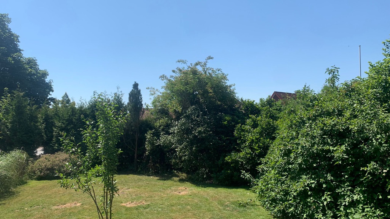 Photo of Outdoor in Horstmar