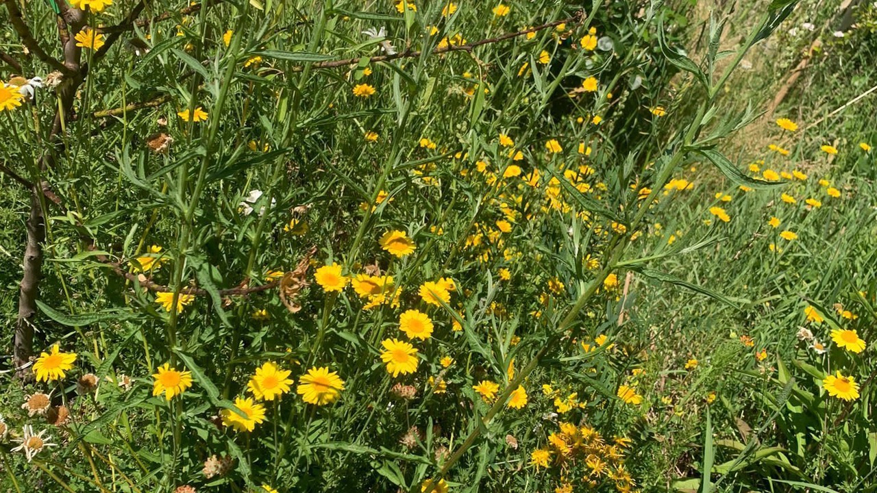 Photo of Outdoor in Horstmar