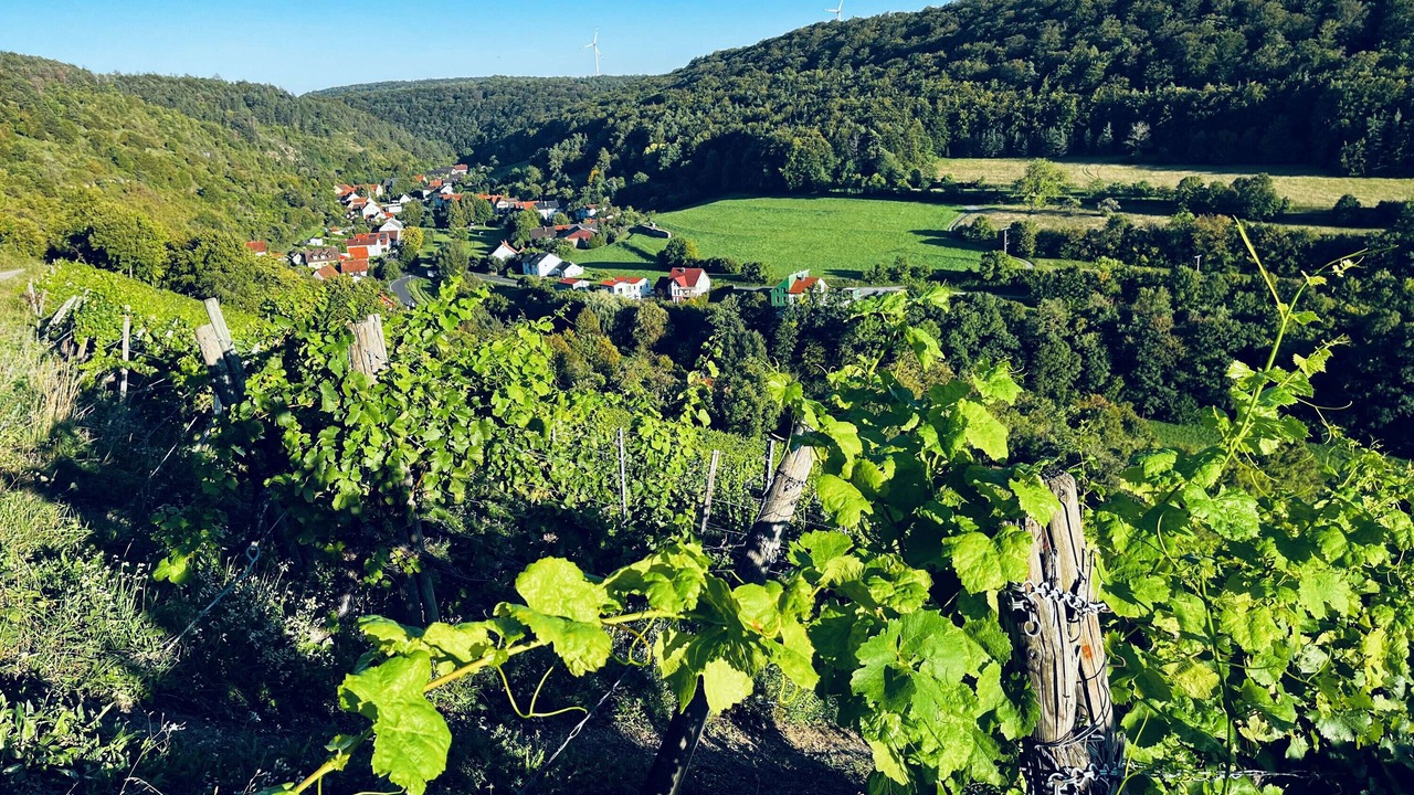 Photo of Others in Elfershausen