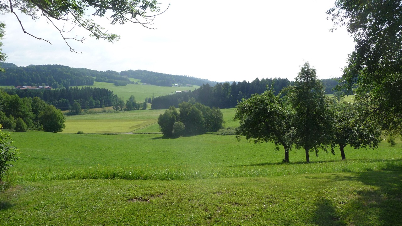 Photo of Others in Eppenschlag