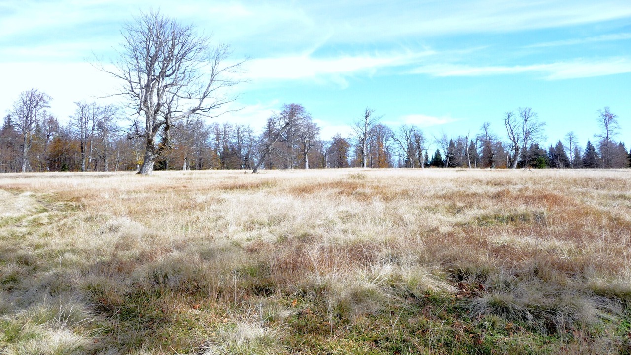 Photo of Others in Eppenschlag