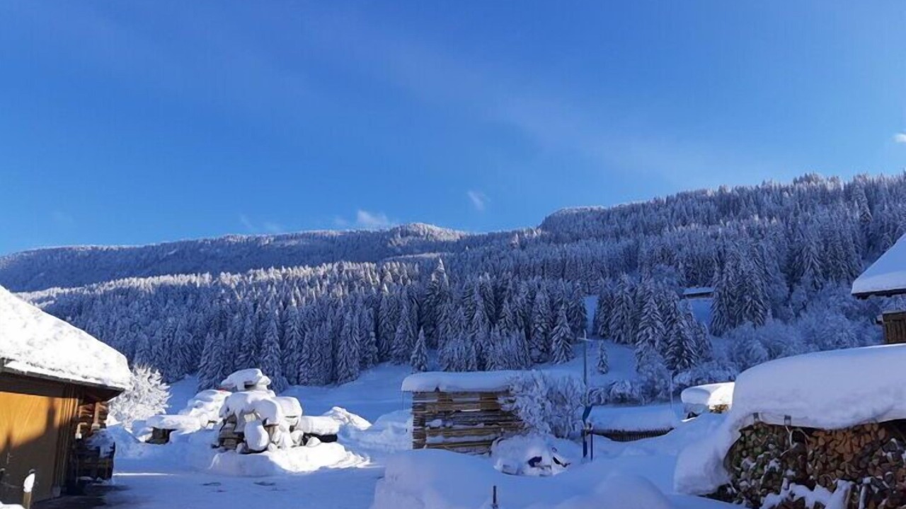 Photo of Others in Thalkirchdorf
