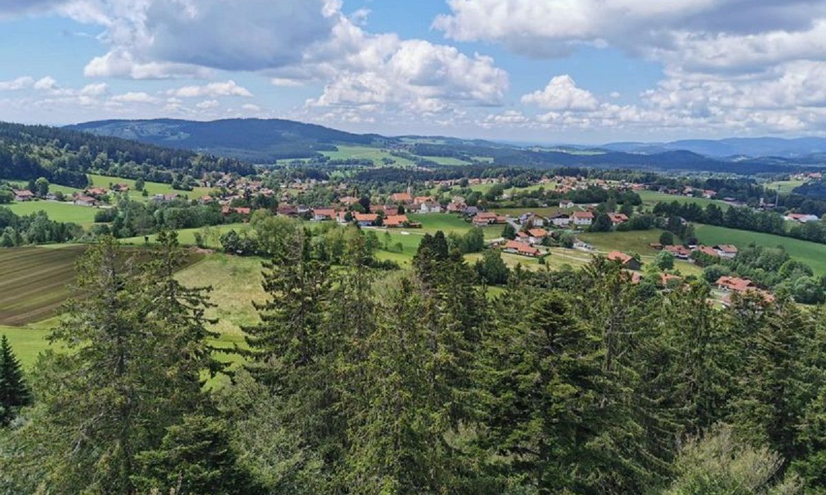 Photo of Others in Schofweg