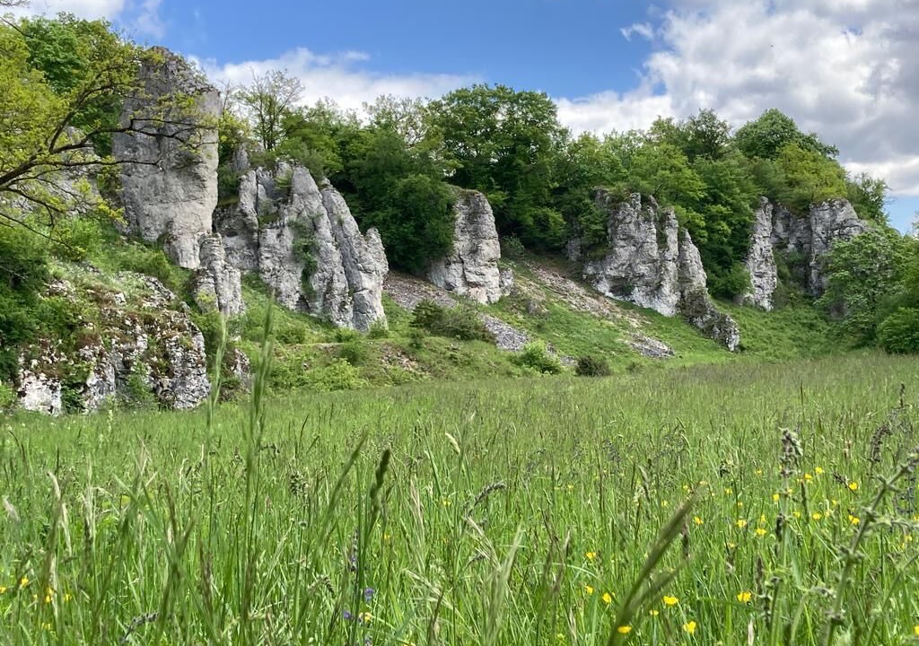 Photo of Others in Solnhofen