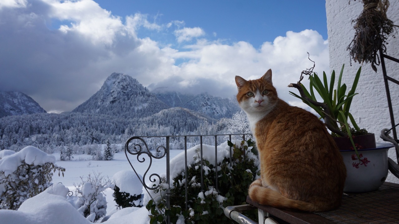 Photo of Outdoor in Breitmoos