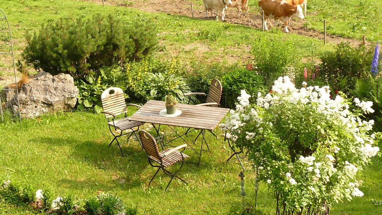 Photo of Outdoor in Breitmoos