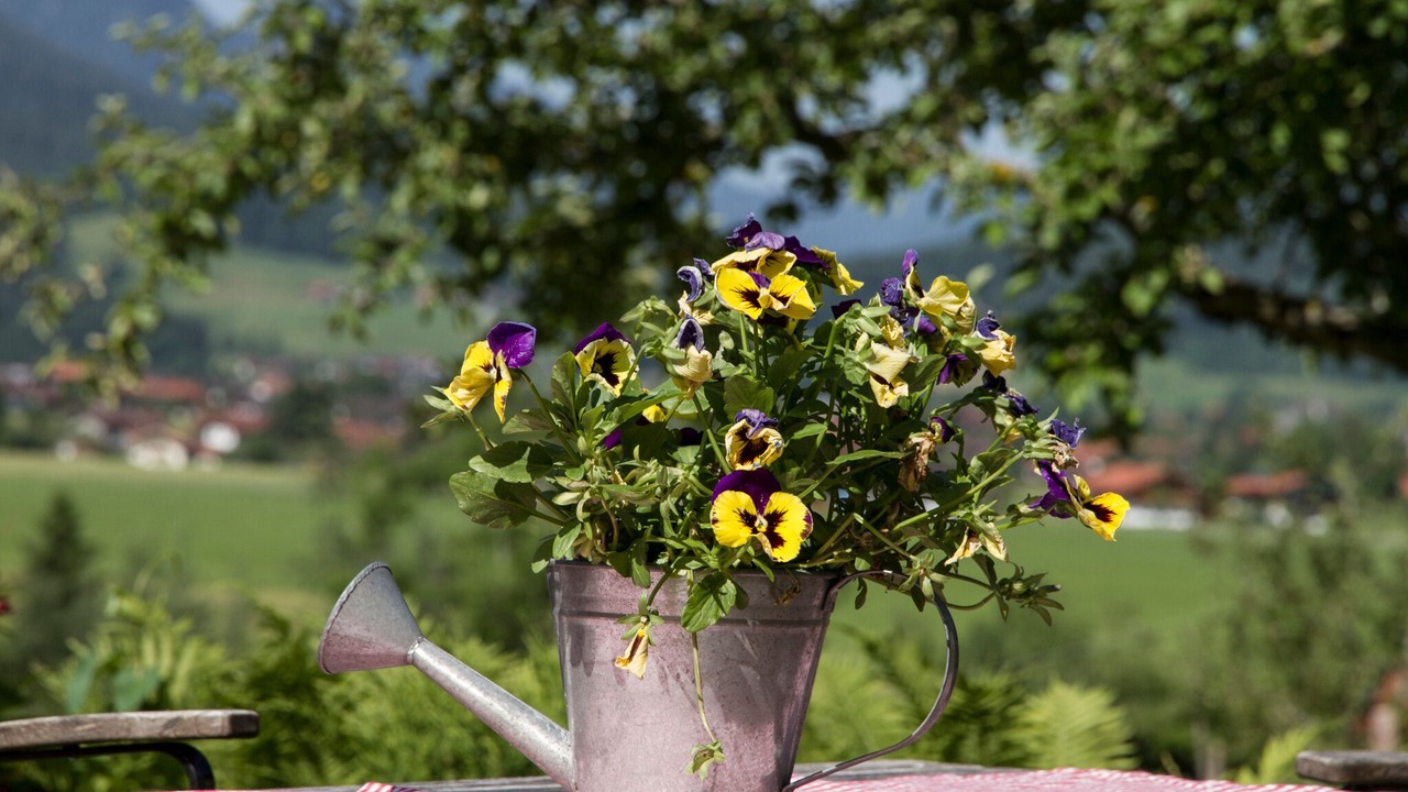 Photo of Outdoor in Breitmoos