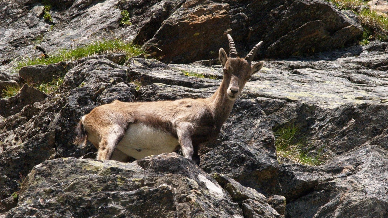 Photo of Outdoor in Galtur