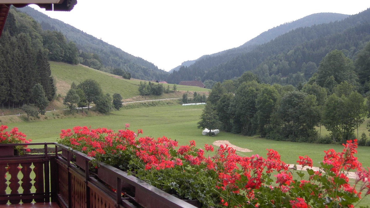 Photo of Outdoor in Elzach