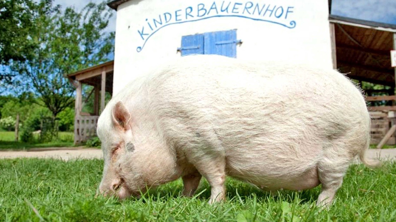 Photo of Others in Schwerin