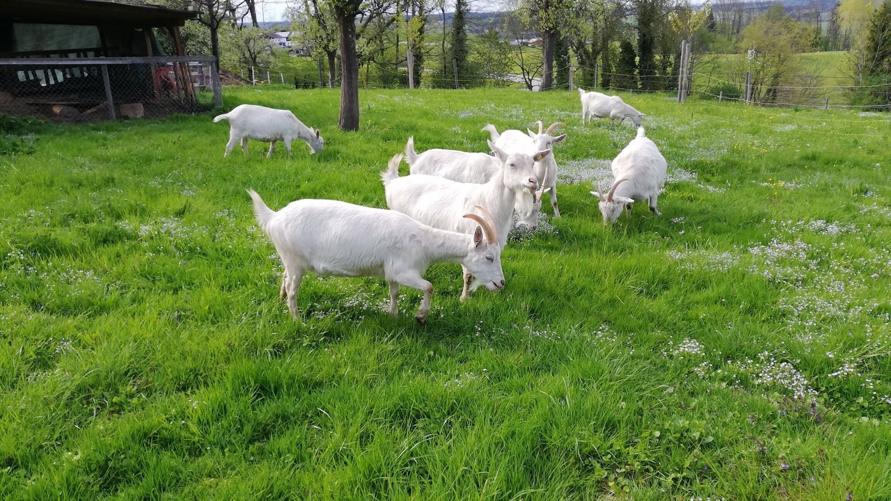 Photo of Outdoor in Ainring