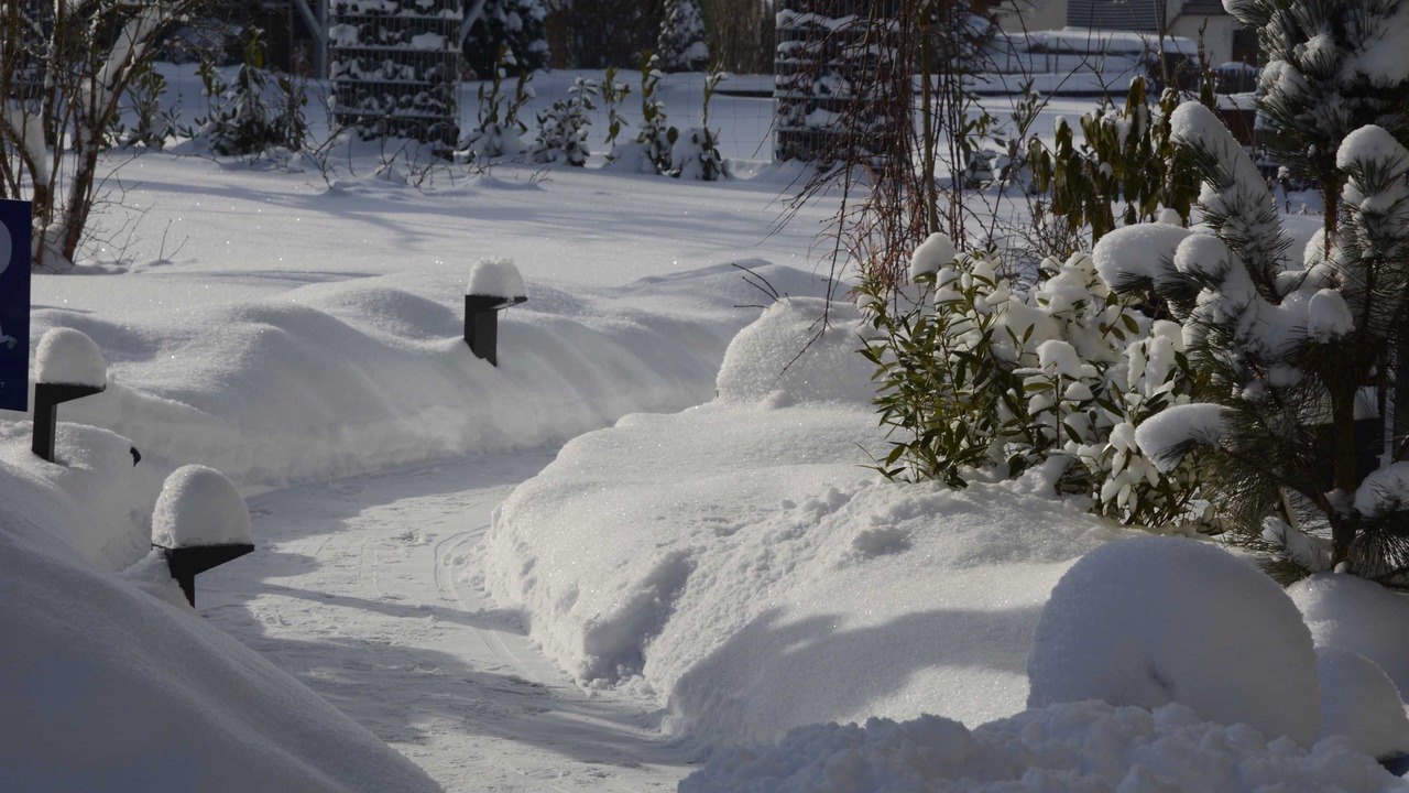 Photo of Outdoor in Ehenbichl