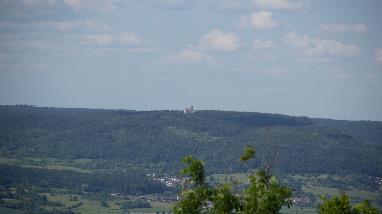 Photo of Others in Weingarts