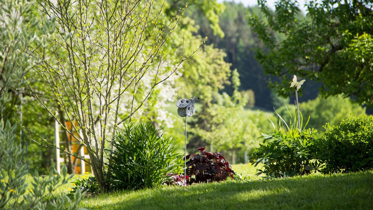 Photo of Outdoor in Weingarts