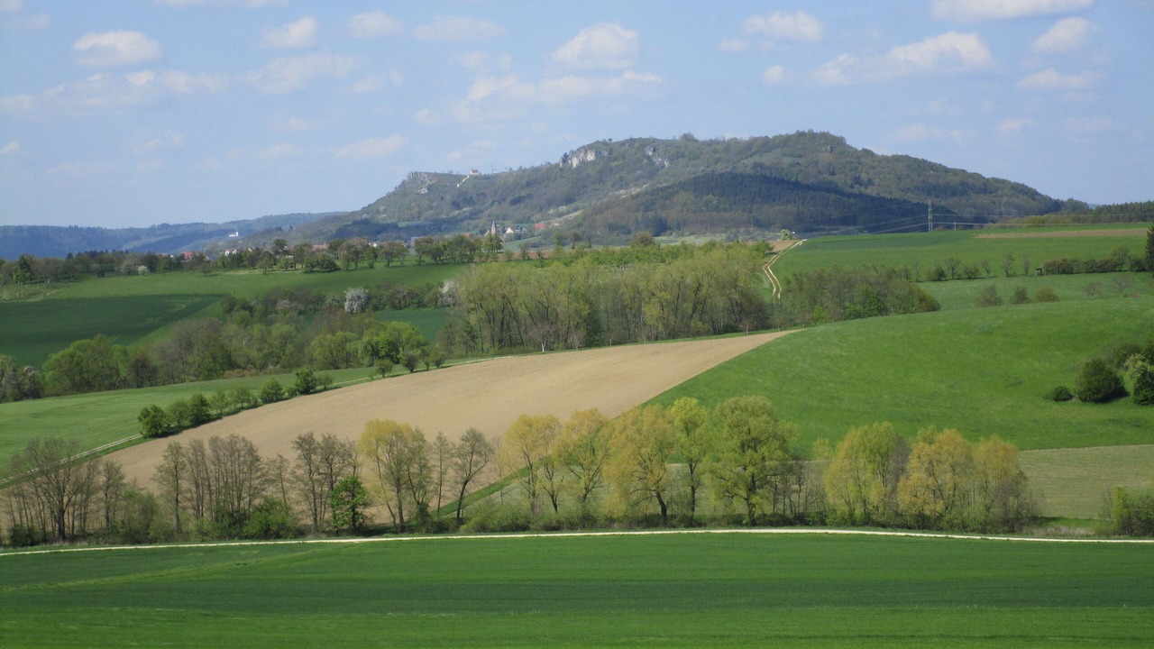 Photo of Others in Weingarts