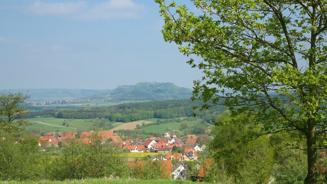 Photo of Others in Weingarts