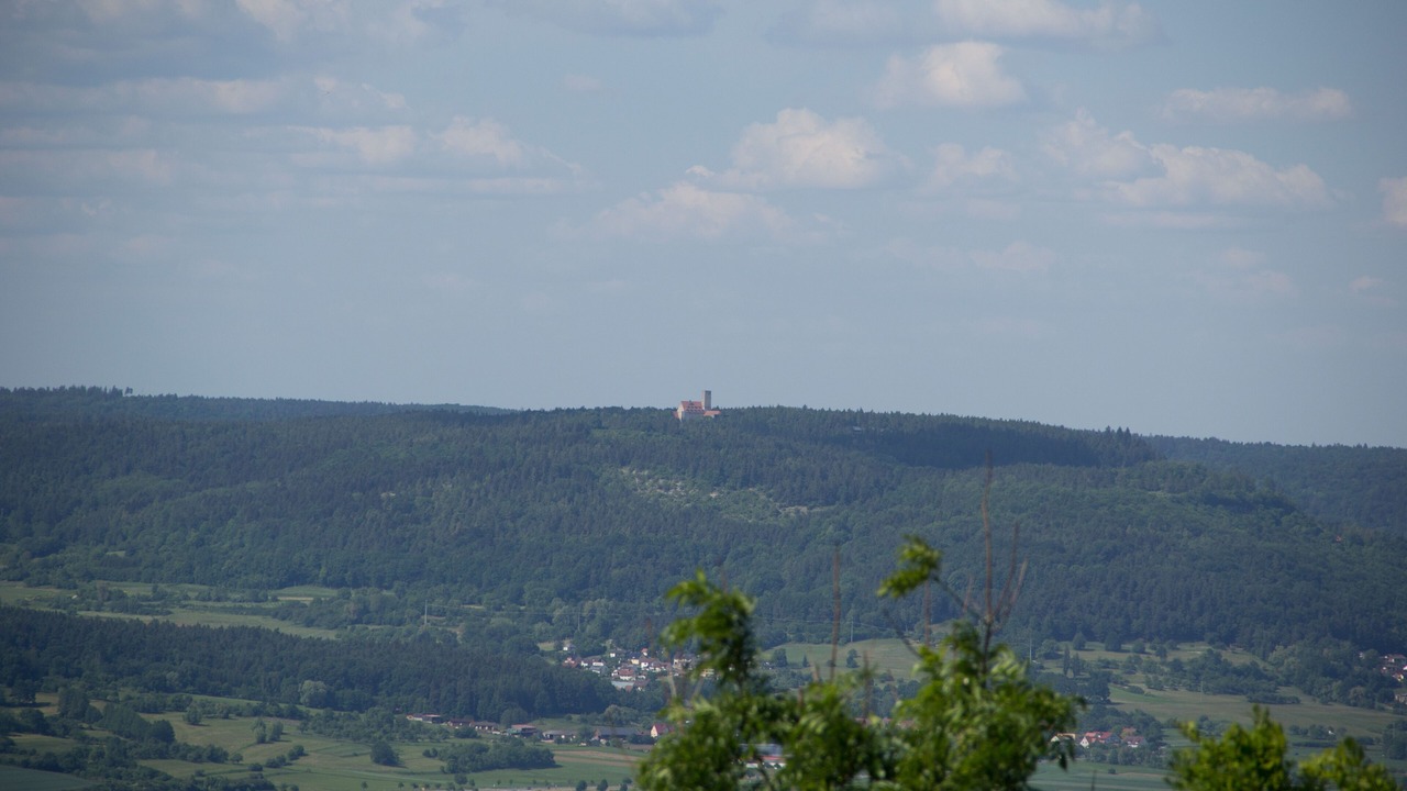 Photo of Others in Weingarts