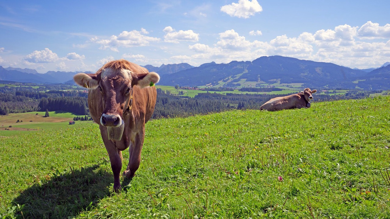 Photo of Outdoor in Steinach