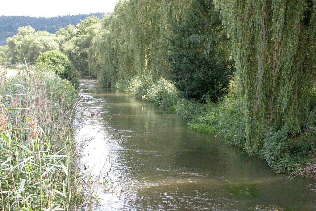 Photo of Others in Beilngries
