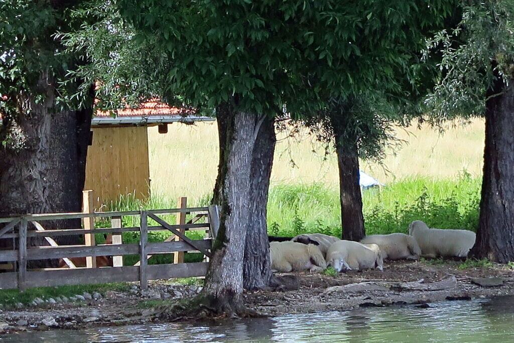 Photo of Outdoor in Breitbrunn a. Chiemsee