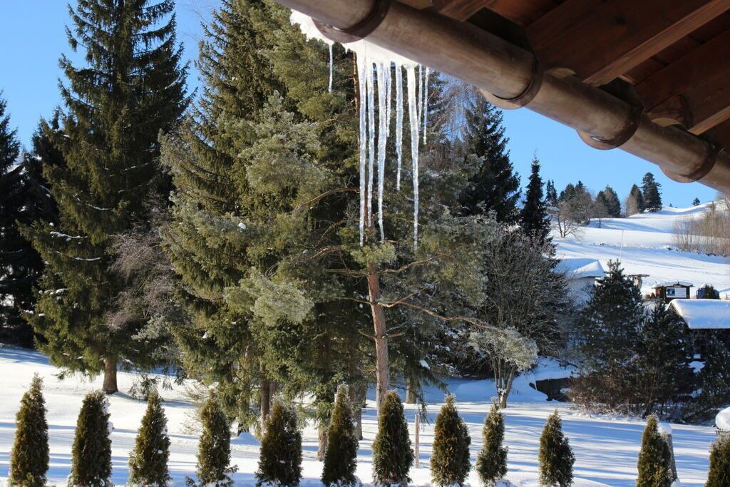 Photo of Outdoor in Steibis