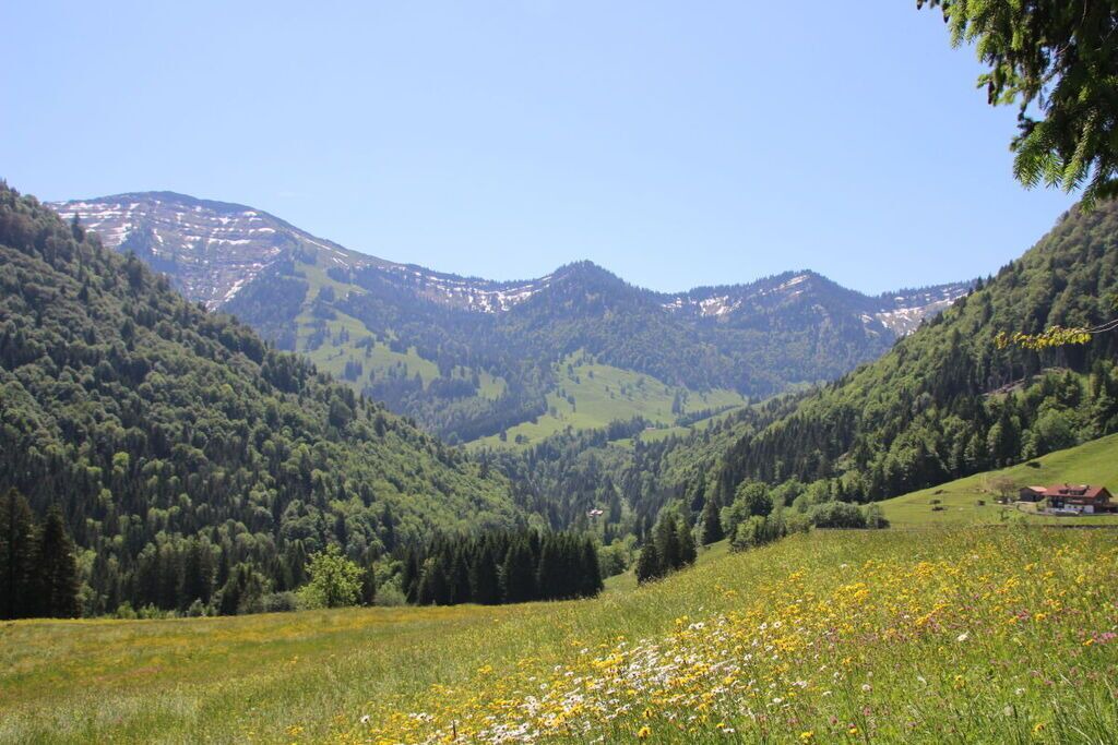 Photo of Outdoor in Steibis