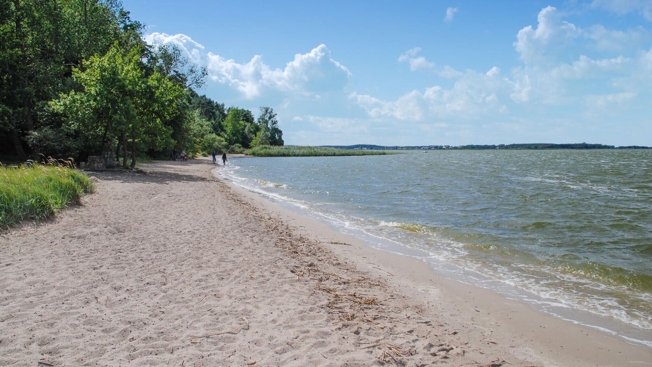 Photo of Others in Neppermin