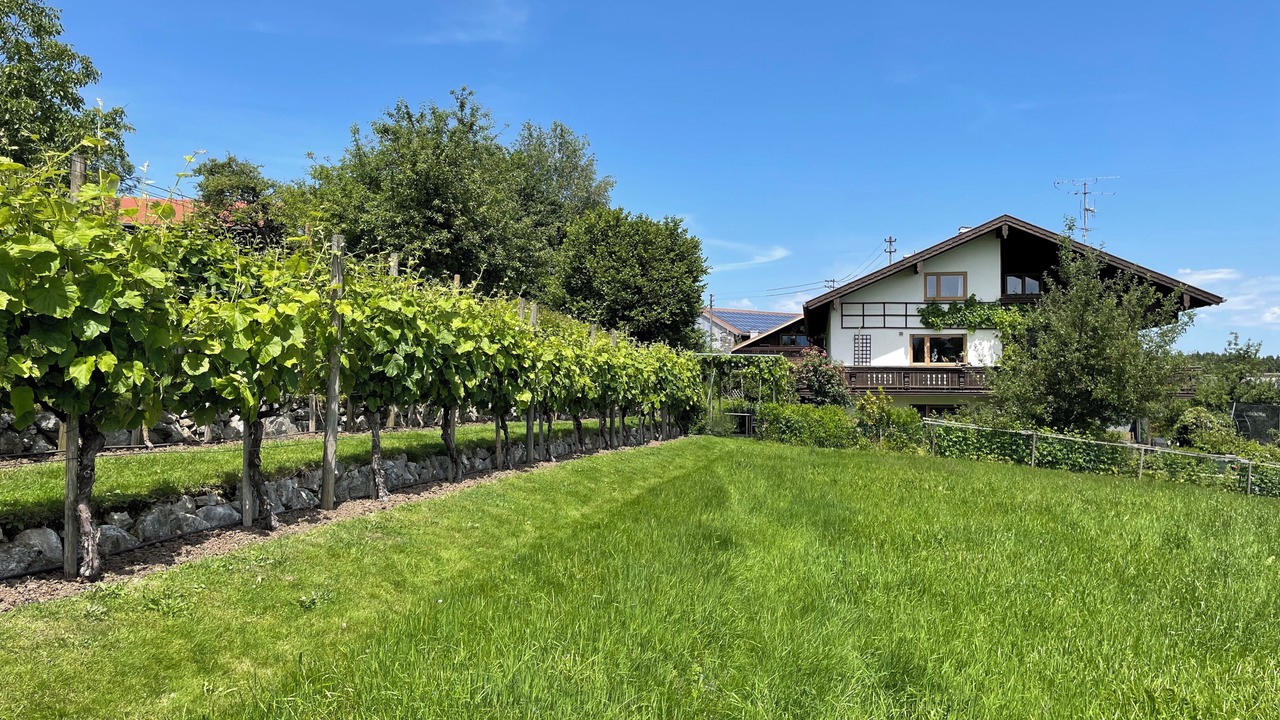 Photo of Outdoor in Rimsting