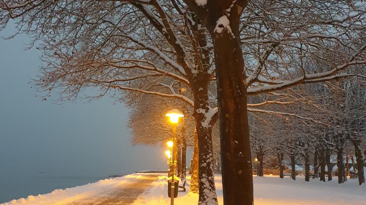 Photo of Others in Starnberg