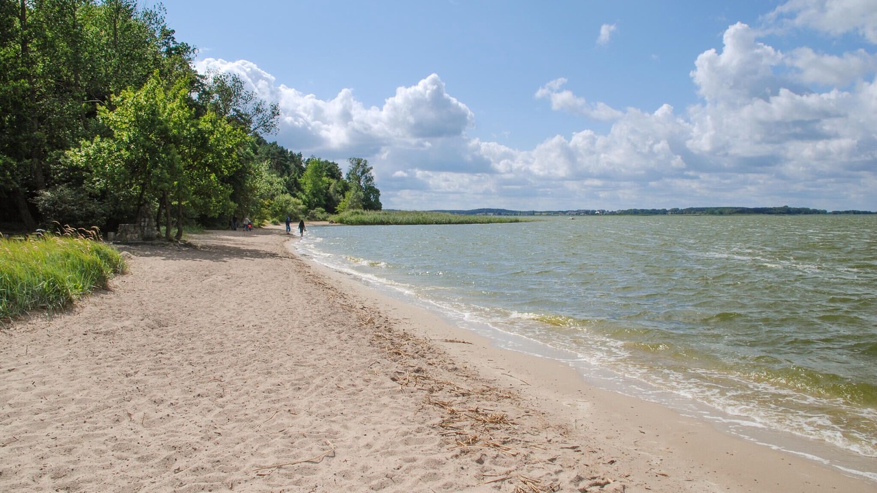 Photo of Others in Neppermin