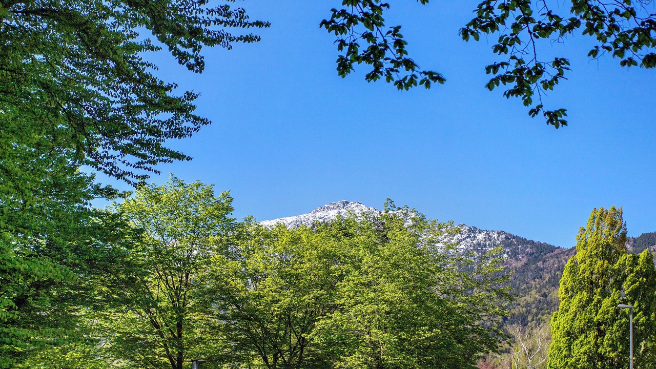 Photo of Others in Bad Reichenhall