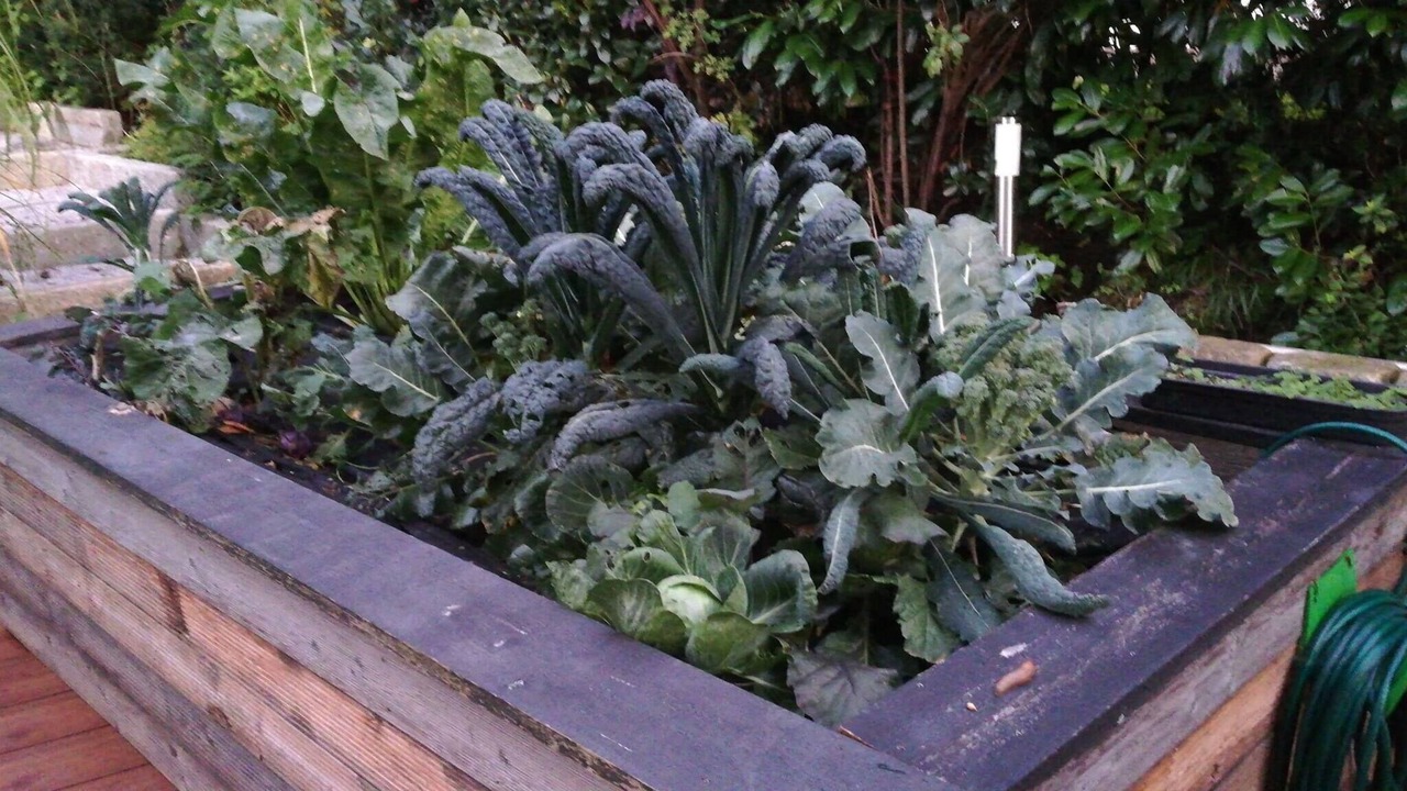 Photo of Outdoor in Ebbs
