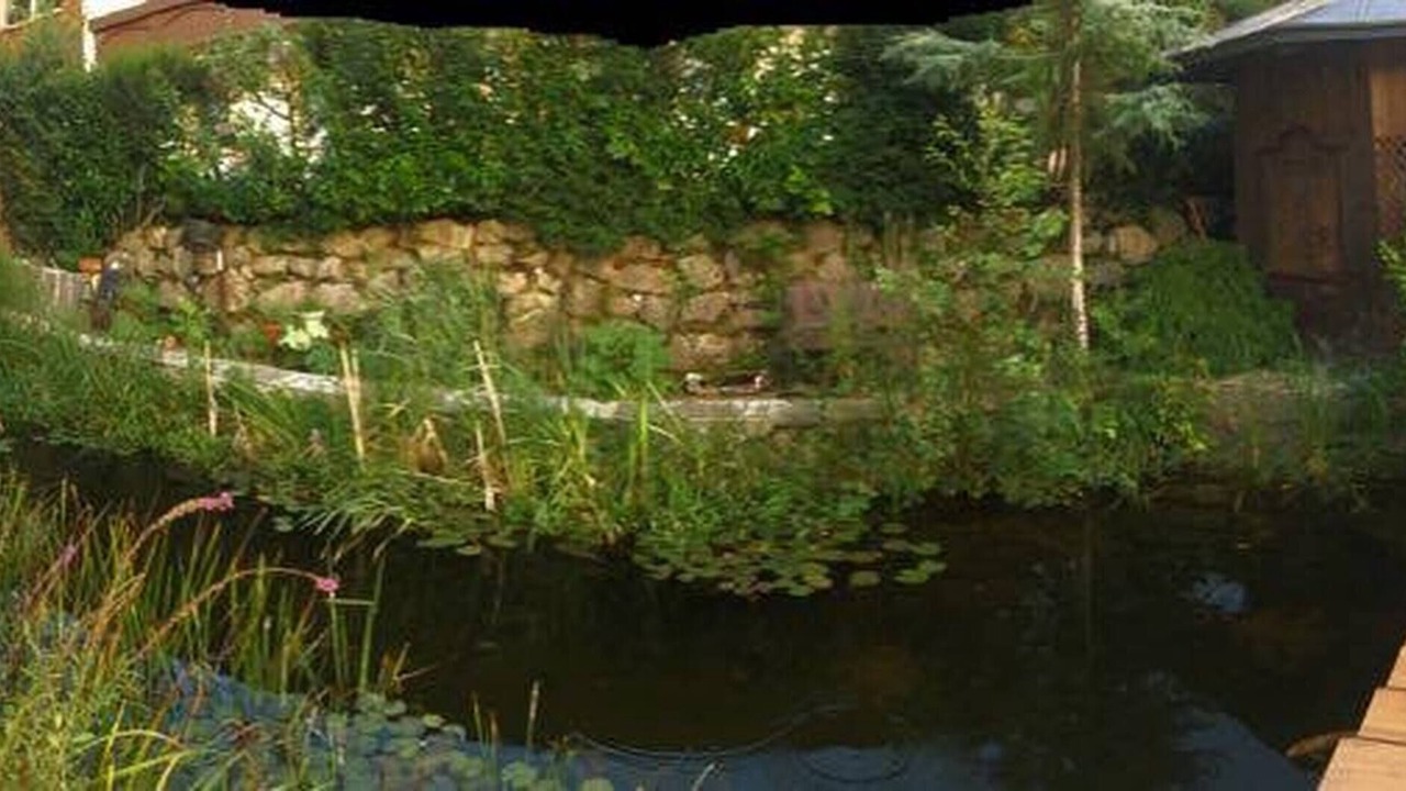 Photo of Outdoor in Ebbs