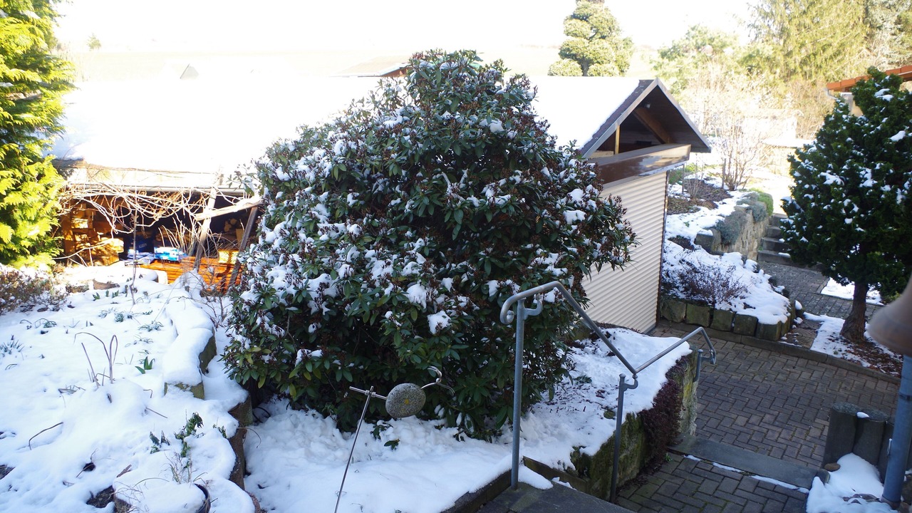 Photo of Outdoor in Bahretal
