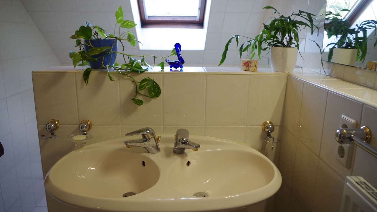Photo of Bathroom in Bahretal