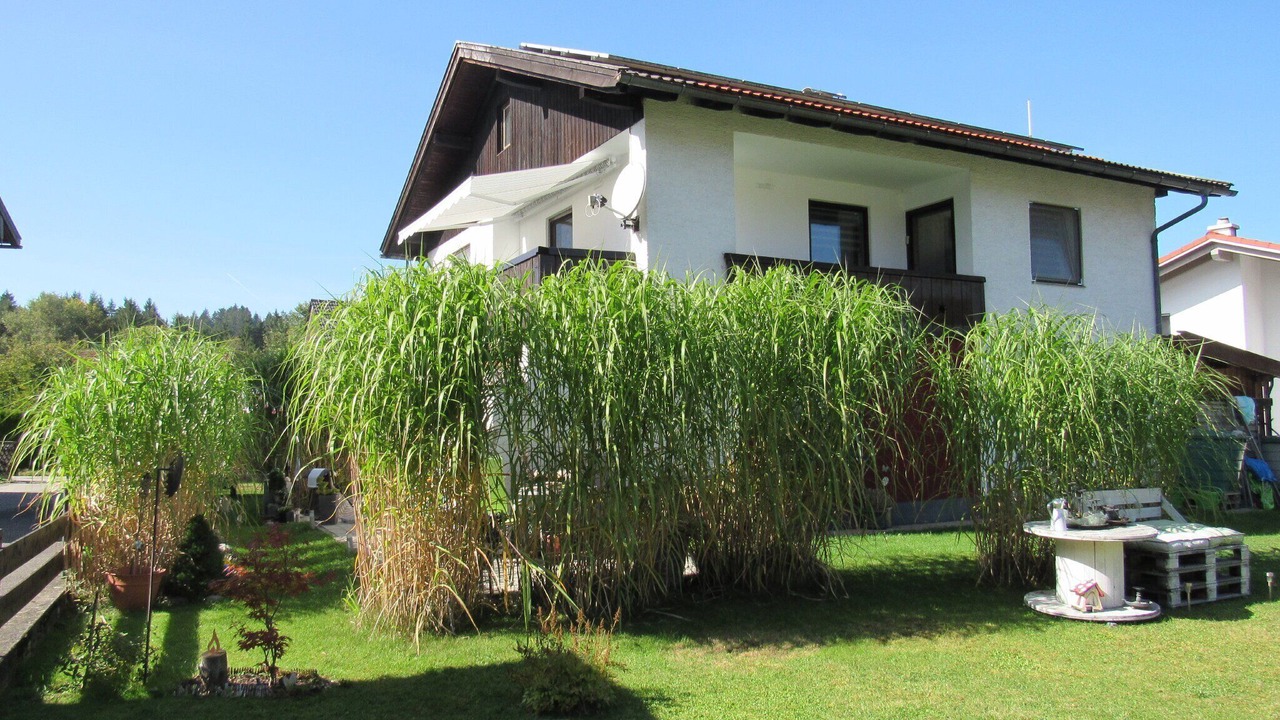 Photo of Outdoor in Halblech