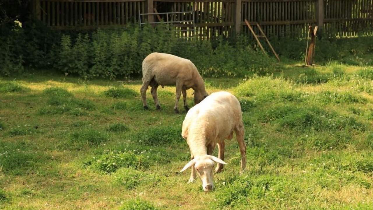 Photo of Others in Himmelkron