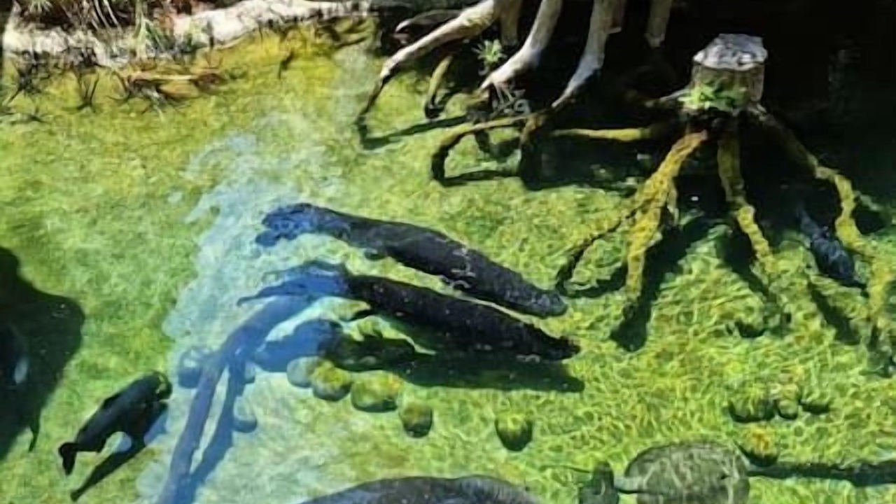 Photo of Others in Las Lagunas