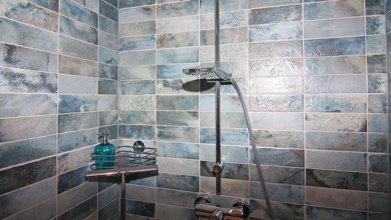 Photo of Bathroom in Guster