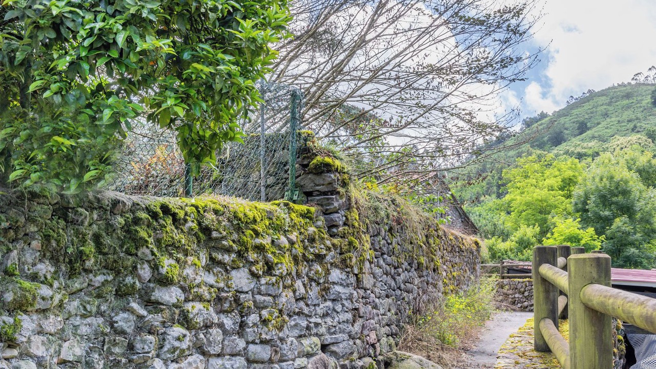 Photo of Outdoor in Herrera de Ibio